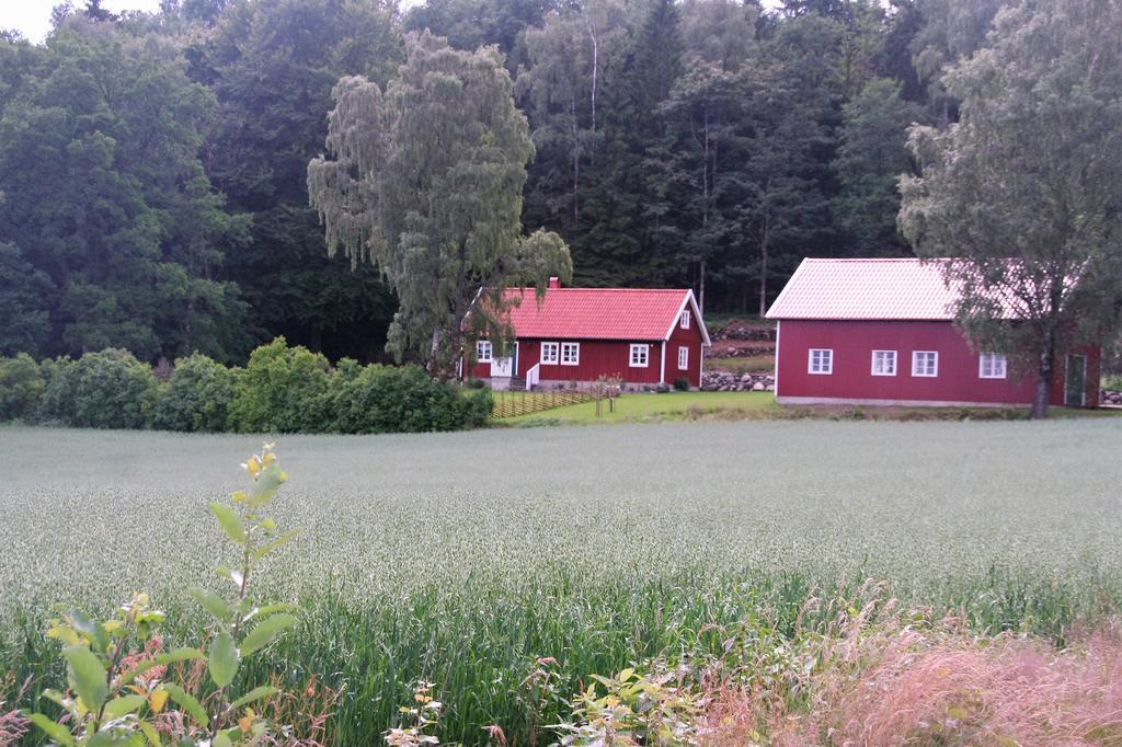 Vråen Svartrå Eksteriør billede